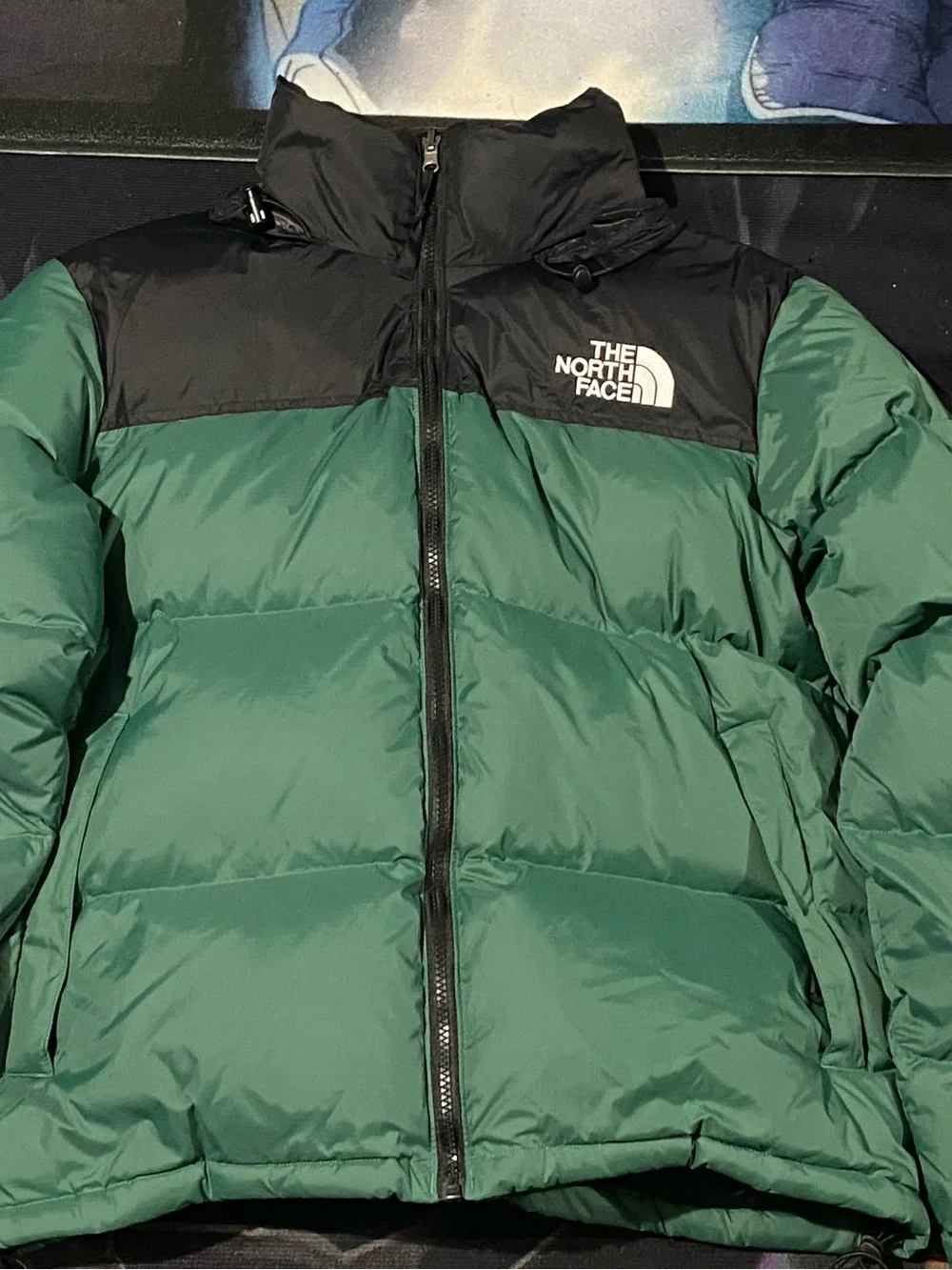 The North Face Green and Black Nuptse-Style Puffer Jacket